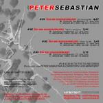 04-03-2016 - toi-records - Peter Sebastian - cover back.jpg